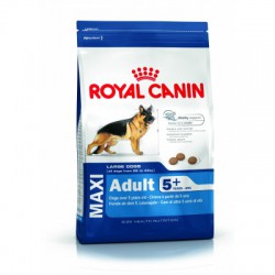 ALIMENT CHIEN MAXI MATURE / ADULT 5+ 4KG