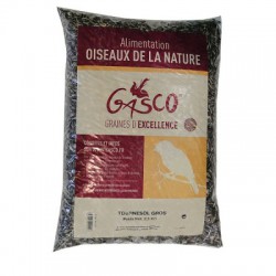 TOURNESOL GROS 2.5 KG