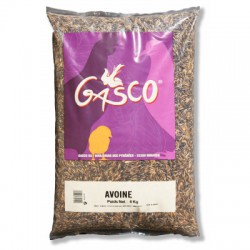 AVOINE 4 KG GASCO