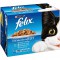 ALIMENT CHAT FELIX GELEE (12x100g)