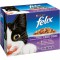 ALIMENT CHAT FELIX GELEE (12x100g)