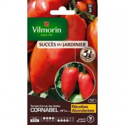 TOMATE CORNABEL HF1 VL3