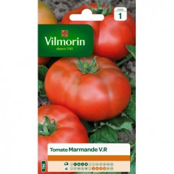 TOMATE MARMANDE VR VL1