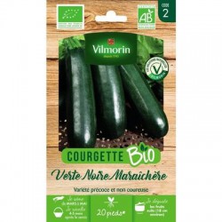 COURGETTE MARAICHERE BIO VL2