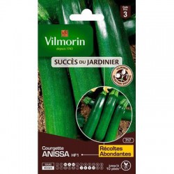 COURGETTE ANISSA HF1 VL3