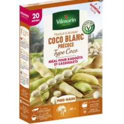 HARICOT COCO BLANC PRECOCE VL1